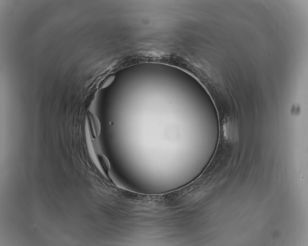 X0000090971347200708161827