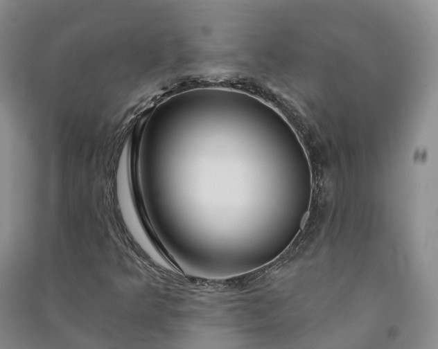 X0000090971349200708161827