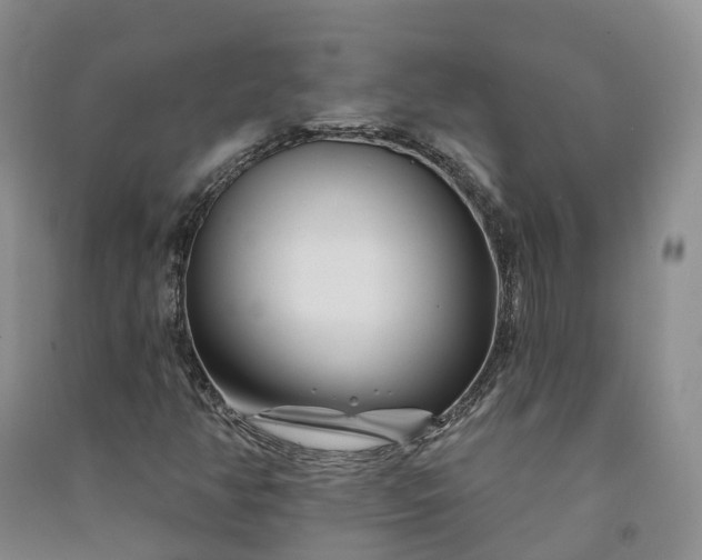 X0000090971350200708161827