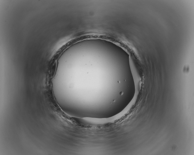 X0000090971352200708161827