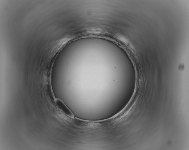 X0000090971353200708161827