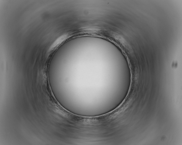 X0000090971354200708161827