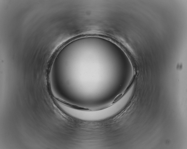 X0000090971356200708161827