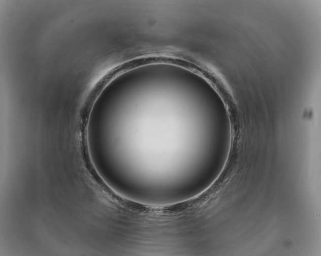 X0000090971360200708161827