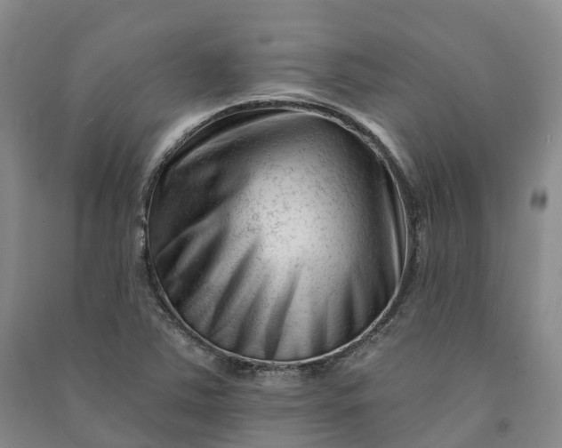 X0000090971363200708161827