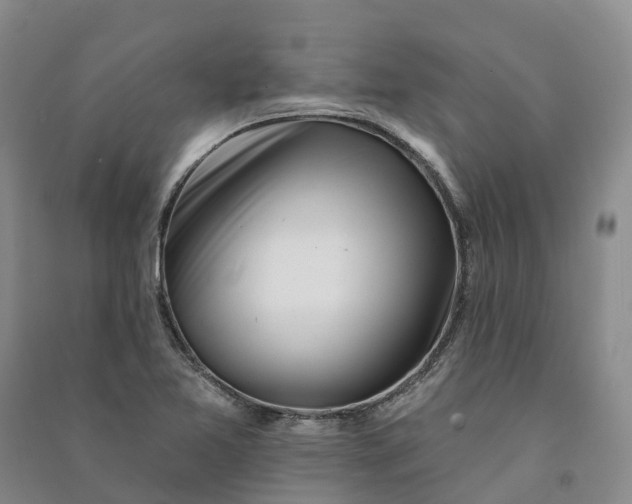 X0000090971365200708161827