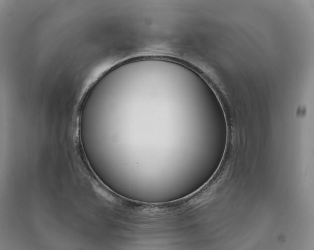 X0000090971366200708161827