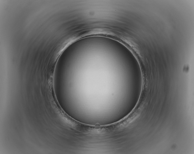 X0000090971369200708161827