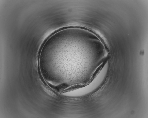 X0000090971372200708161827