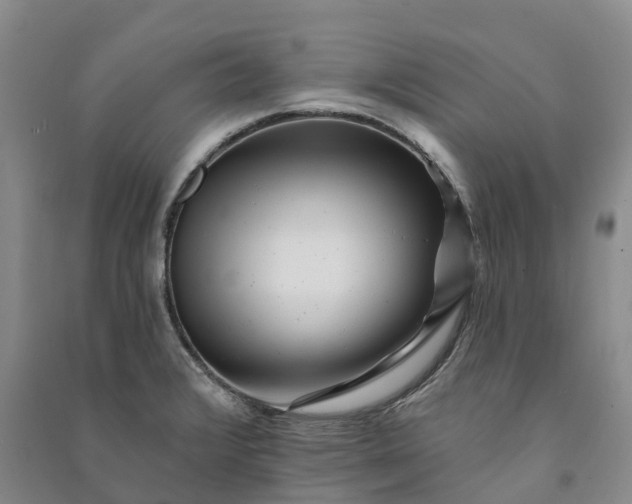 X0000090971376200708161827