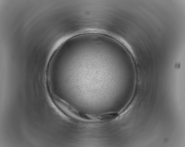 X0000090971381200708161827