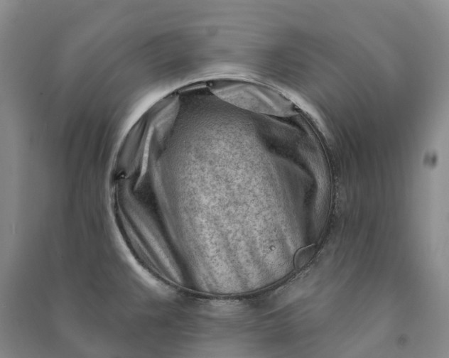 X0000090971383200708161827