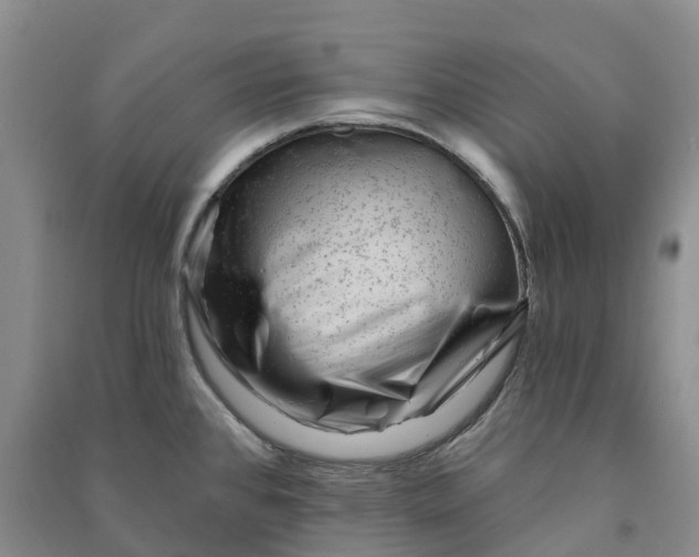 X0000090971384200708161827