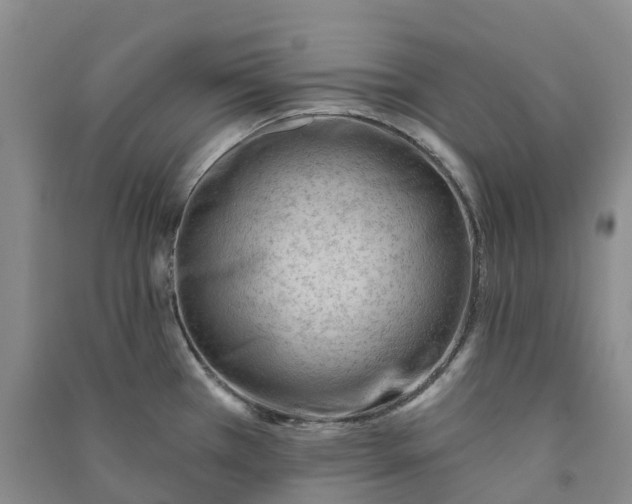 X0000090971385200708161827