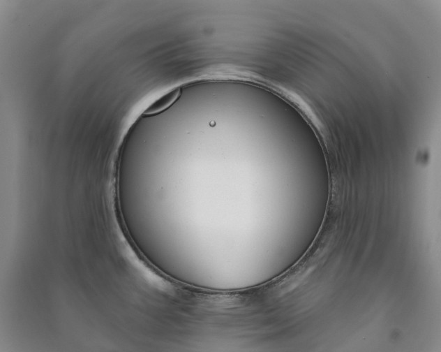 X0000090971387200708161827