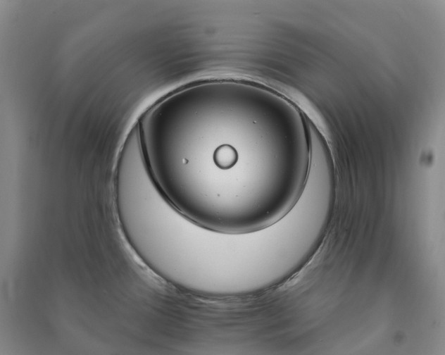 X0000090971388200708161826