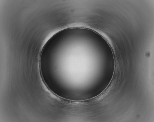 X0000090971390200708161826