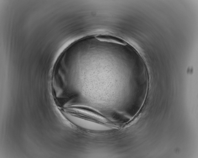 X0000090971392200708161826