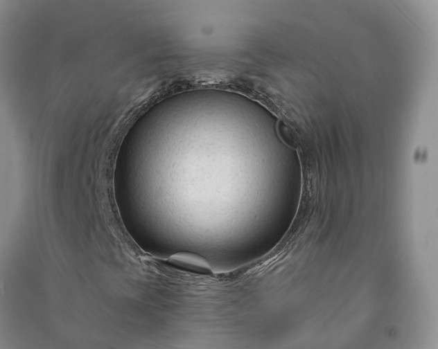 X0000090971393200708161826