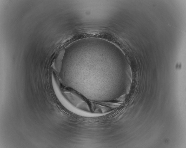 X0000090971394200708161826