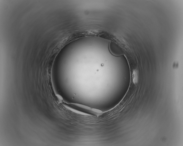 X0000090971395200708161826