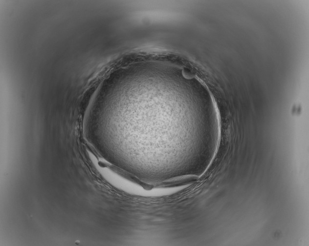 X0000090971397200708161826