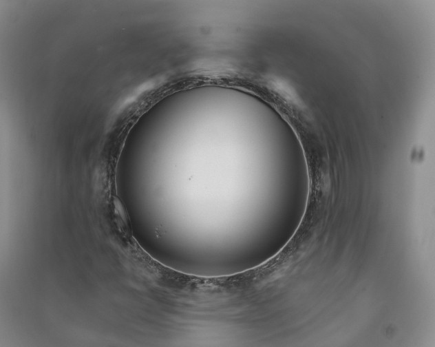 X0000090971398200708161826