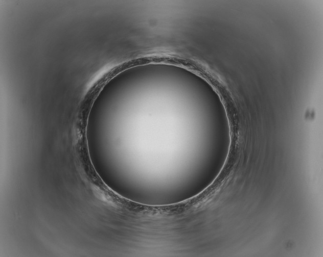 X0000090971400200708161826