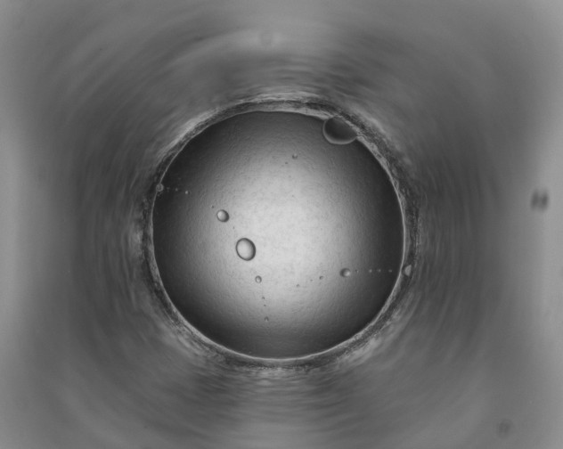 X0000090971401200708161826