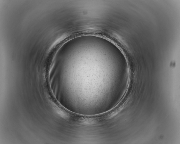 X0000090971402200708161826