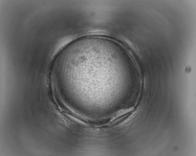 X0000090971405200708161826