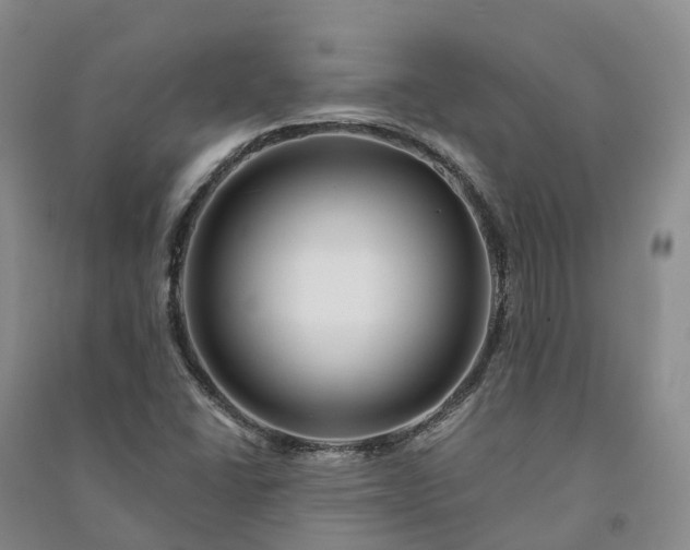 X0000090971406200708161826