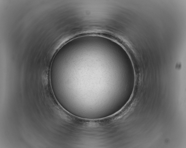 X0000090971409200708161826