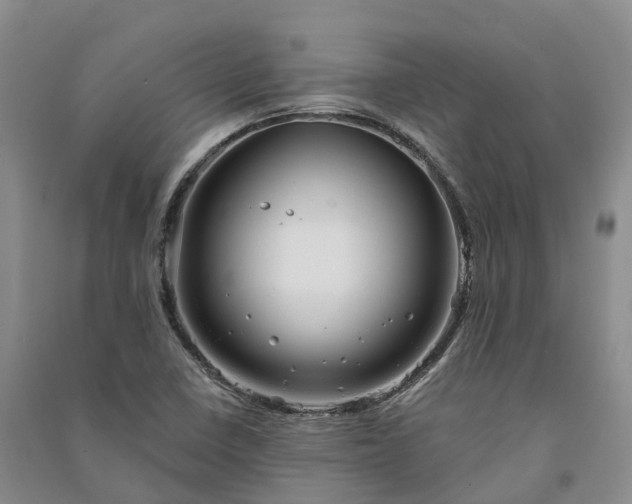 X0000090971410200708161826