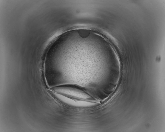 X0000090971411200708161826