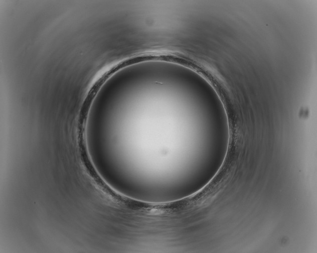 X0000090971412200708161826