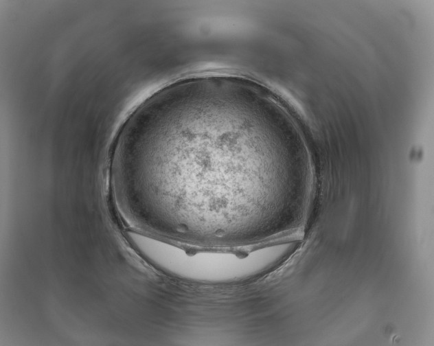 X0000090971413200708161826