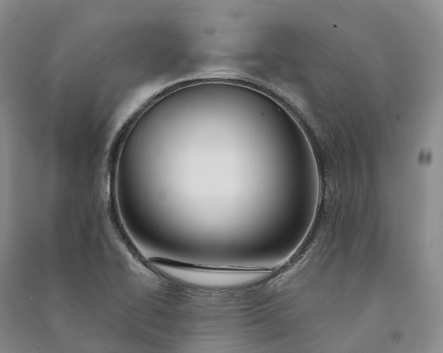 X0000090971414200708161826