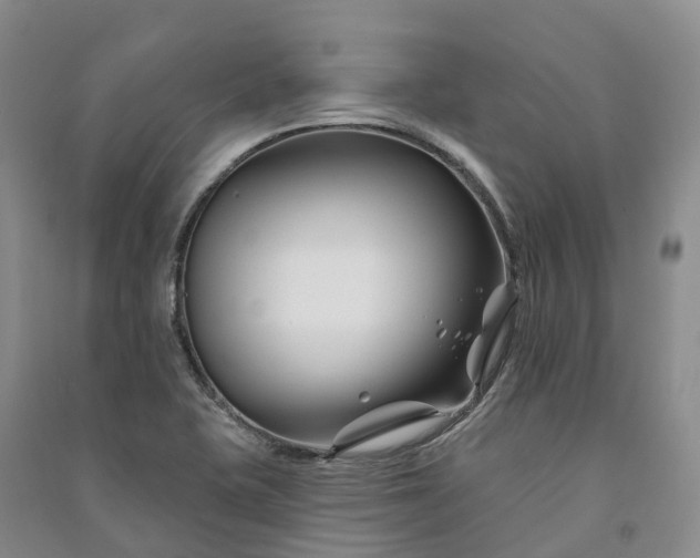 X0000090971415200708161826