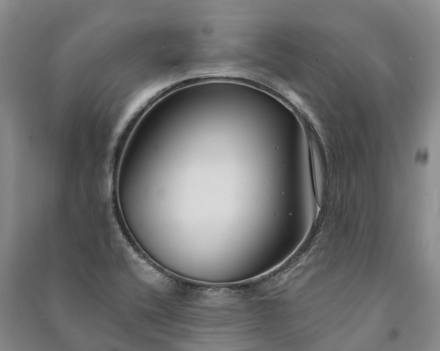 X0000090971416200708161826