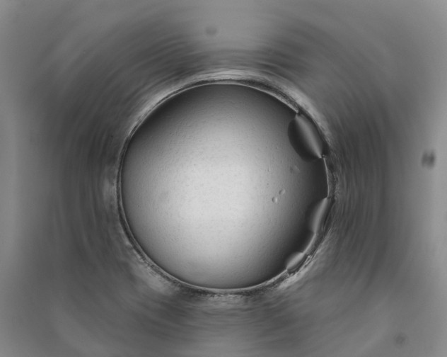 X0000090971417200708161826