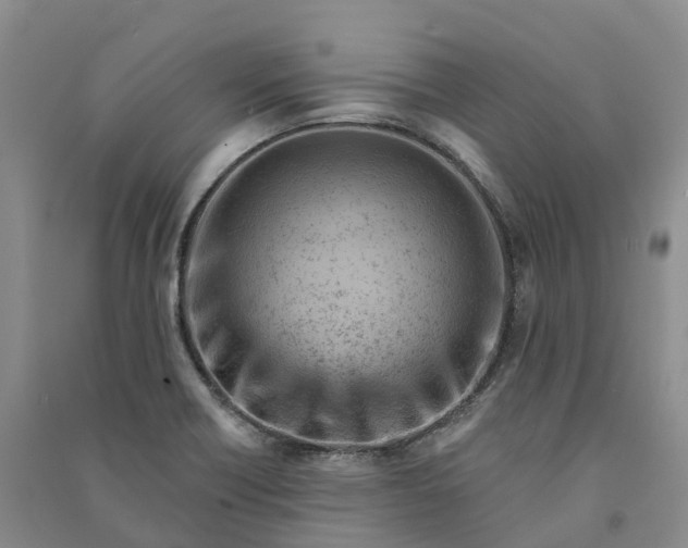 X0000090971418200708161826