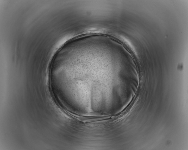 X0000090971419200708161826