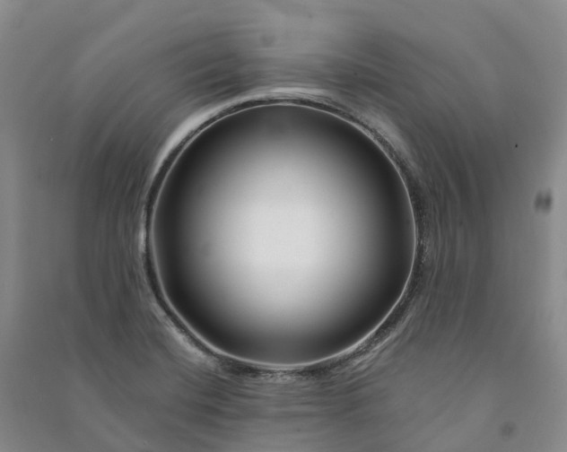 X0000090971420200708161826