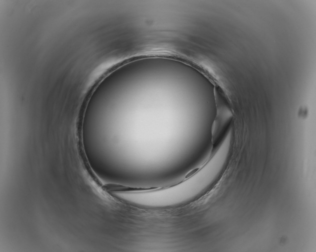 X0000090971422200708161826