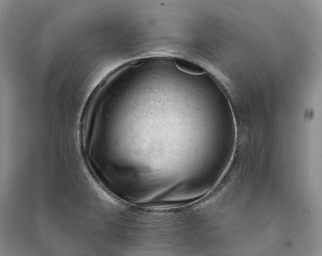 X0000090971423200708161826