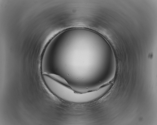 X0000090971424200708161826