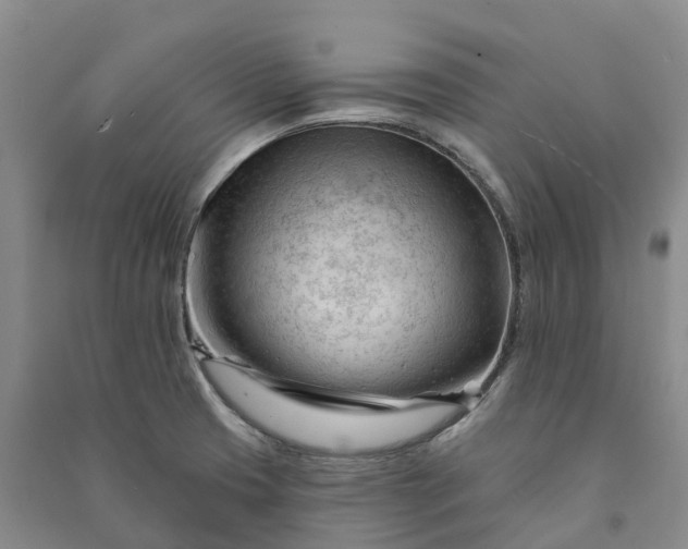 X0000090971425200708161826