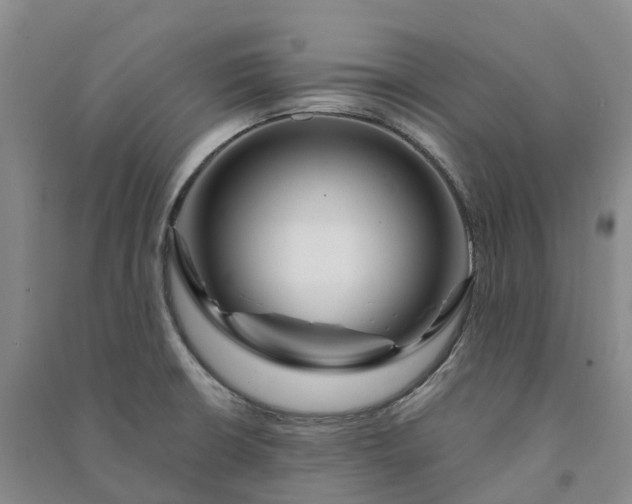 X0000090971426200708161826