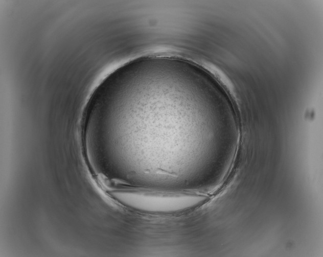 X0000090971429200708161826